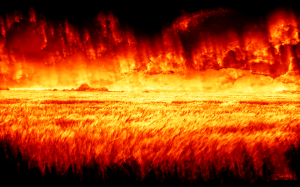 the_field_in_flames_by_signap