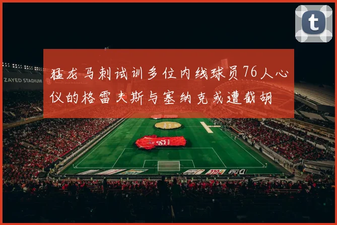 猛龙马刺试训多位内线球员76人心仪的格雷夫斯与塞纳克或遭截胡
