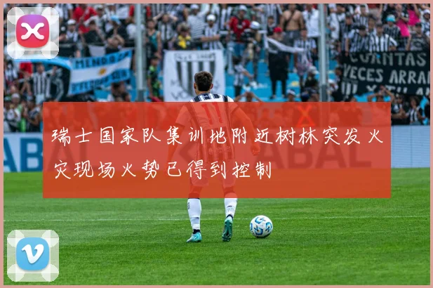 瑞士国家队集训地附近树林突发火灾现场火势已得到控制