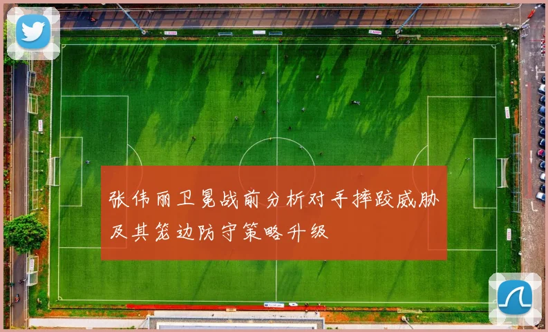 张伟丽卫冕战前分析对手摔跤威胁及其笼边防守策略升级